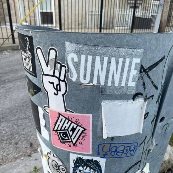 Meet your Posher, Sani - Picture 1 of 1